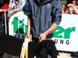 2019_ausstellung polling_346